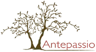 Antepassio